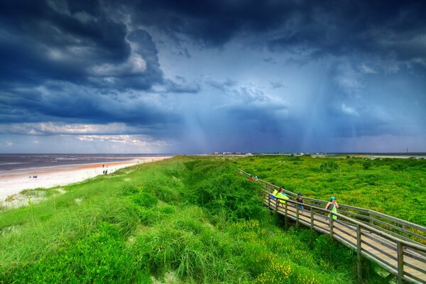 Brücke , zwischen Gras und Meer