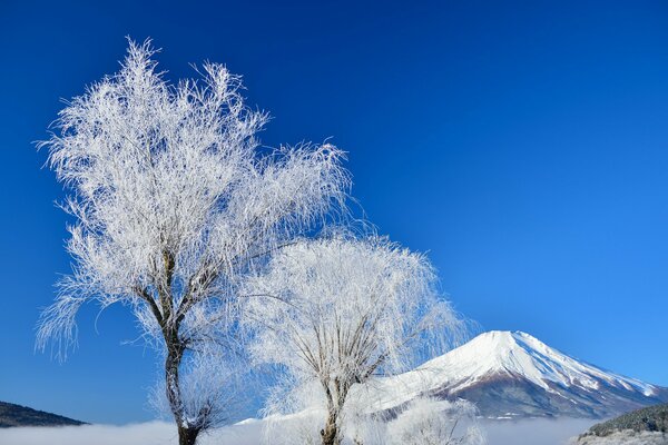 Wintermorgen am Berg Fujiyama