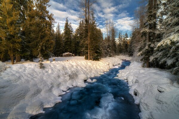 Winternatur: Ein Fluss inmitten von Tannen und Schneeverwehungen