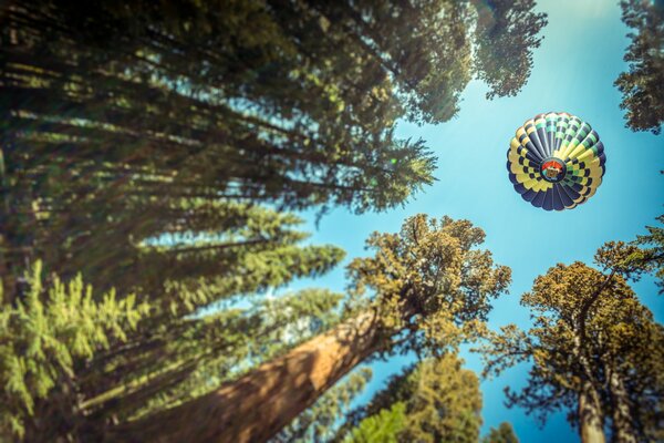 Ballon vole dans le ciel