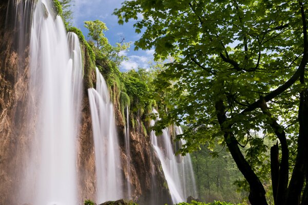 Waterfall in the depths of the forest