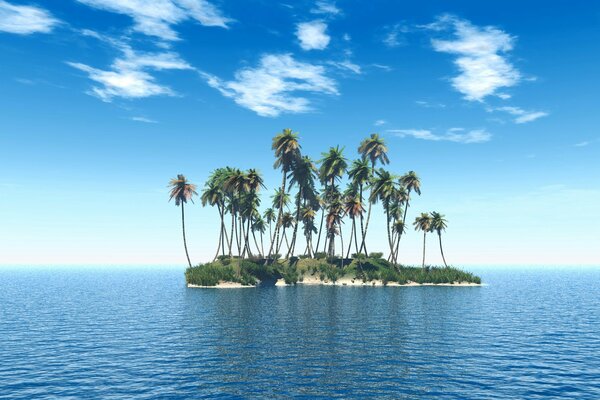 Palm trees on an island alone in the sea