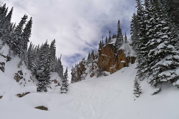 Incredible snow descent in the forest