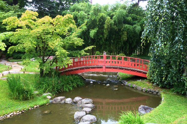 Giardino con laghetto in stile giapponese con pietre e passerelle