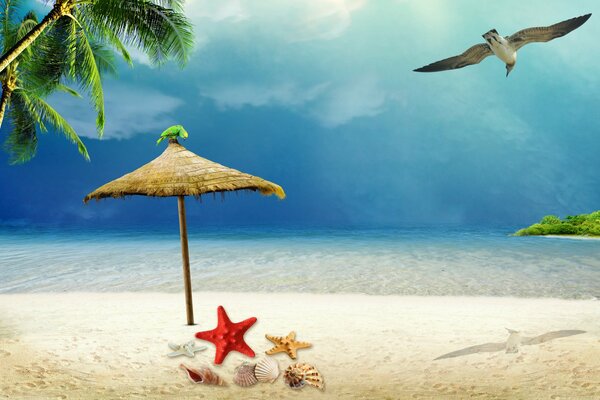 Conchiglie, una stella sulla sabbia sulla riva e un gabbiano nel cielo
