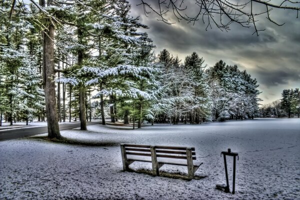 Piazza d inverno con una panchina ricoperta di neve