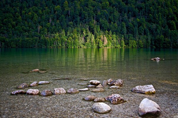 Los árboles verdes se reflejan en el lago transparente