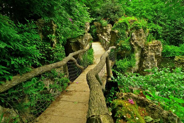 Puente entre arbustos y árboles en un Jardín japonés en París