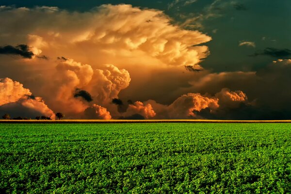 An image of a field, and a cloud on the horizon