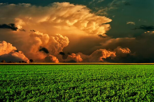 Imagen de un campo, y en el horizonte una nube