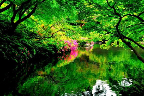 Flowers, bright green trees on the background of water