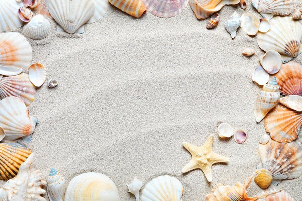 Rahmen aus Muscheln im Sand