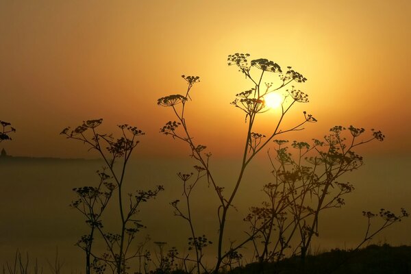 Sonnenuntergang in der Natur