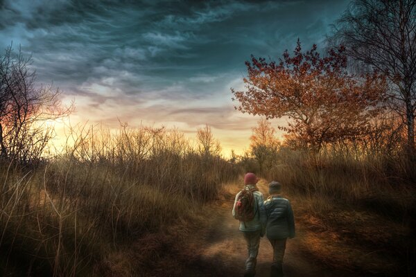 Children walk in the forest together