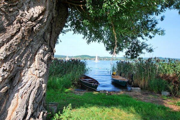 Blick auf den Fluss mit Booten und Holz