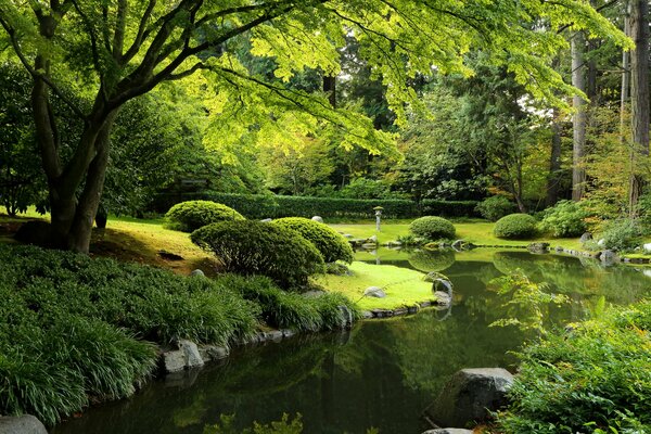 Charming green park in Vancouver