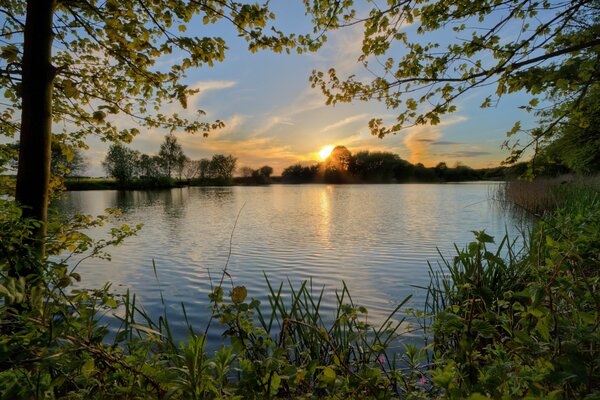 Beautiful sunset on the river bank