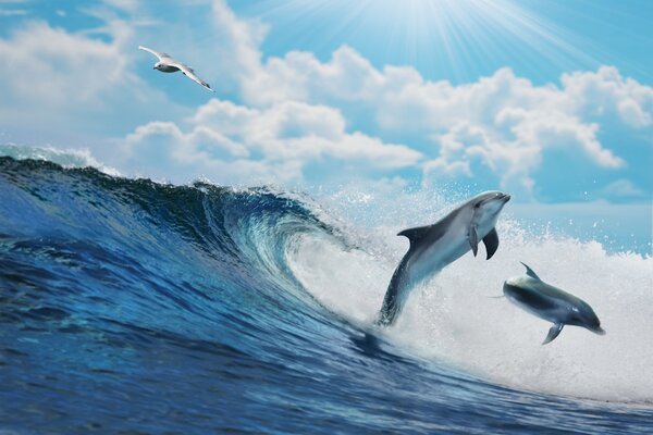 Deux dauphins attrapés par la vague