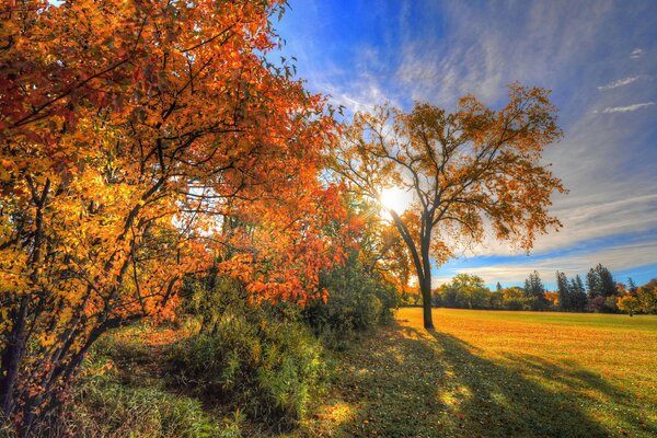 Vista autunnale di boschi e prati