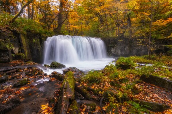 Autumn forest waterfall flowing into the river