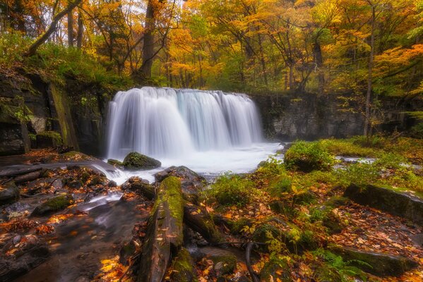 Осенний лесной водопад впадающий в реку