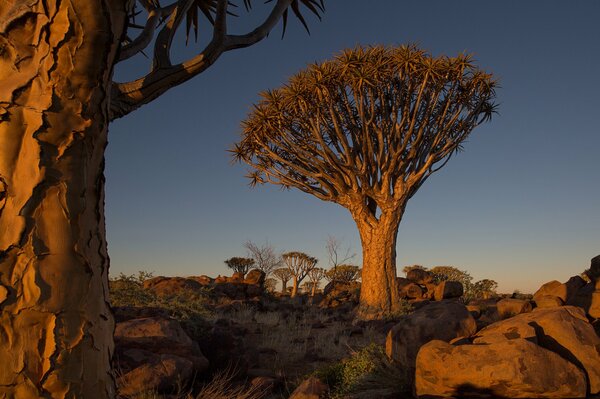 Afrikanischer Himmel bei Sonnenuntergang in Namibia