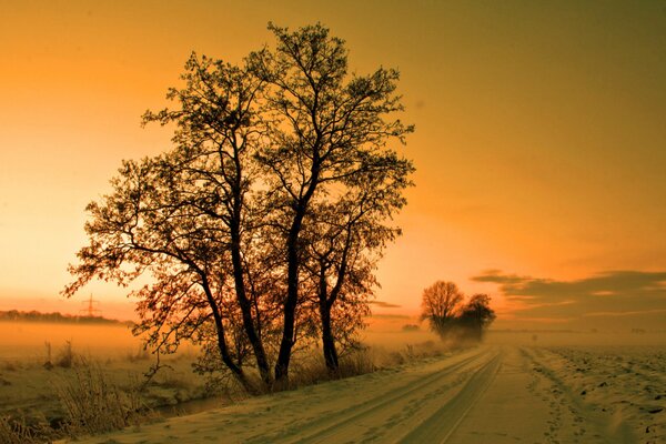 Neige d hiver au coucher du soleil