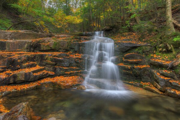 Cascada de montaña en las rocas en el bosque