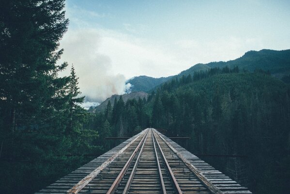 Alte Eisenbahn, die in den Wald führt