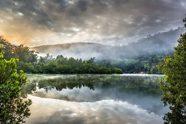 Hermoso paisaje del río en el bosque