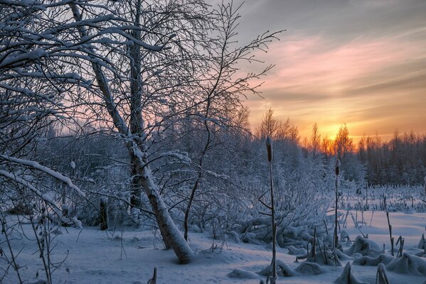 Sonnenuntergang im Winter verschneiten Wald