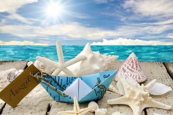 Seashells and starfish on a sunny sea beach