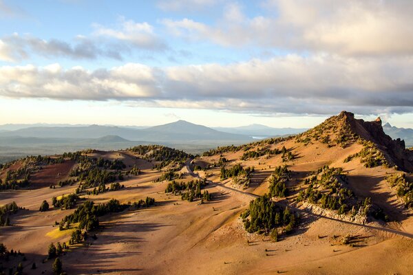 Route de bexrain et arbres verts