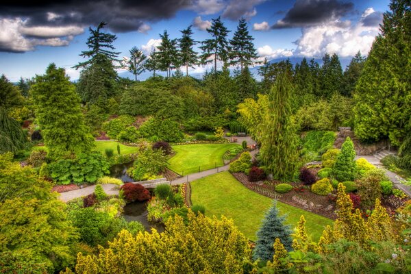 Arbres ornementaux et pelouses dans le jardin