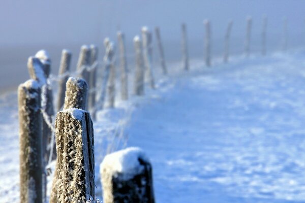 Cerca en invierno en la niebla de la nieve