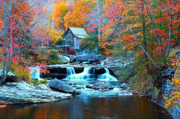 Otoño colorido en el pueblo. Agua y Mini cascadas