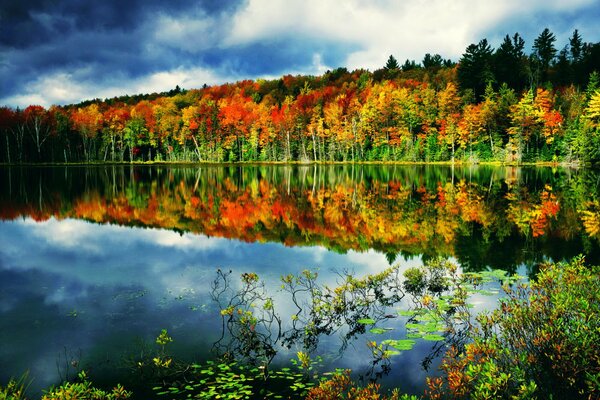 Autumn lake under the sun