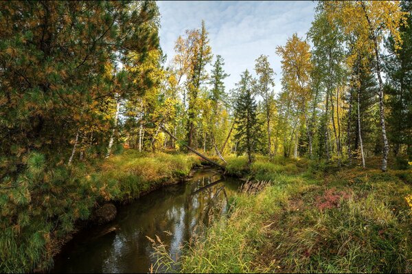 Herbstlandschaft über dem Fluss