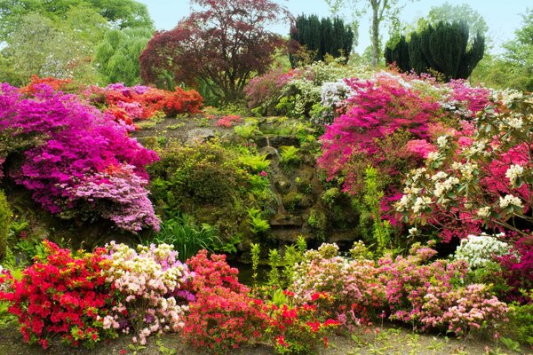 Giardino di paesaggi ricoperti di muschio e fiori in Galles