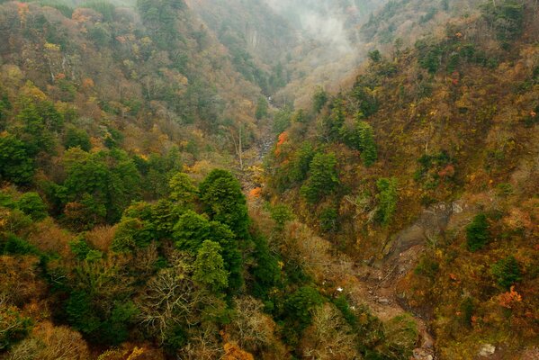 Autumn forest, mountains and slope