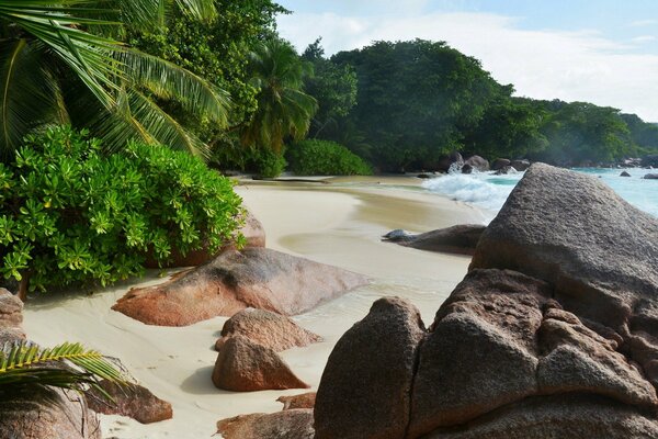 Plage de sable tropical et mer