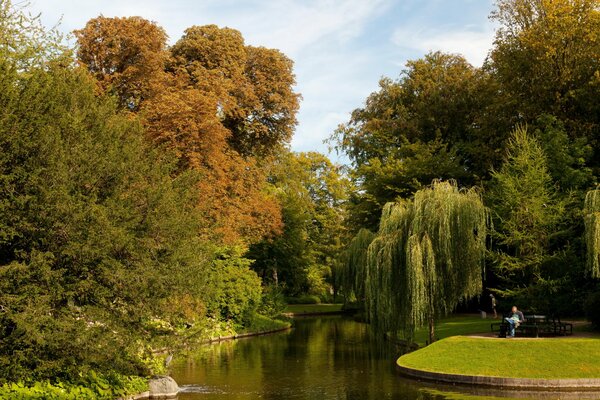 Stagno tra gli alberi nel giardino botanico