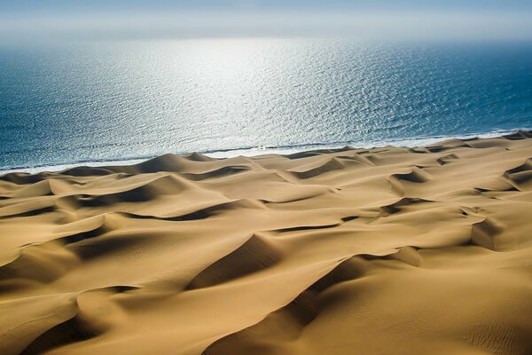 Les dunes de sable au bord de la mer sont magnifiques