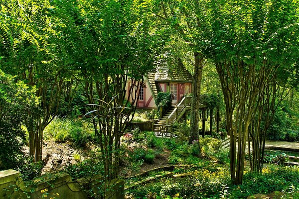 Ein Haus im Wald unter Bäumen