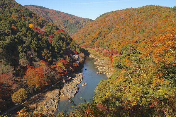 Otoño, río de bosque de montaña