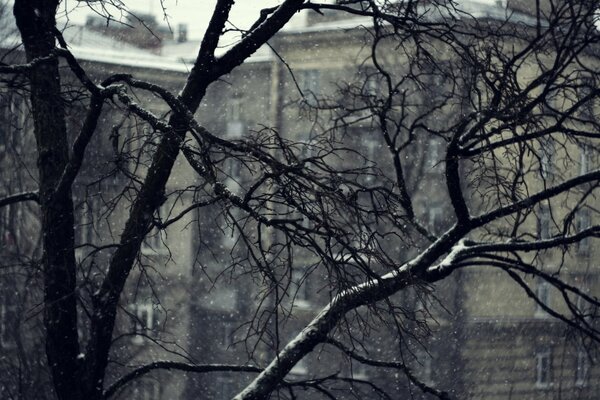 Jours de semaine gris au début de l hiver