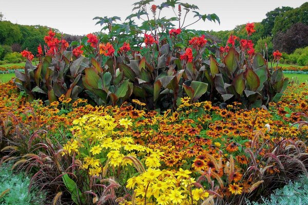 Beau parterre de fleurs avec des fleurs incroyables