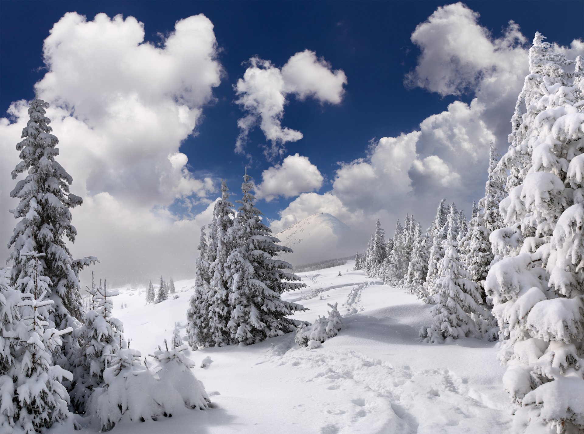 nature landscape winter snow tree mountain forest sky cloud