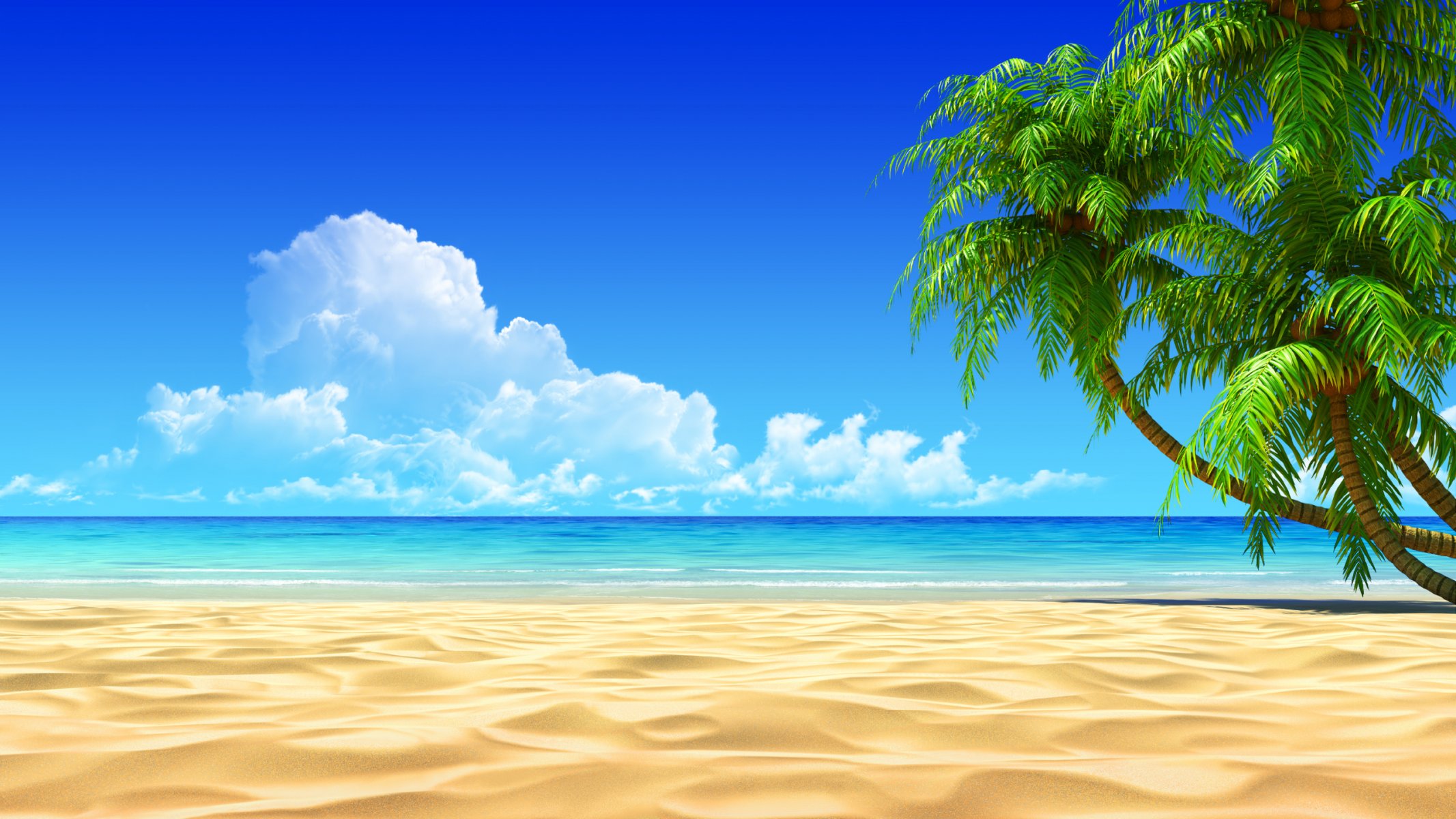 tropics beach ocean exotic