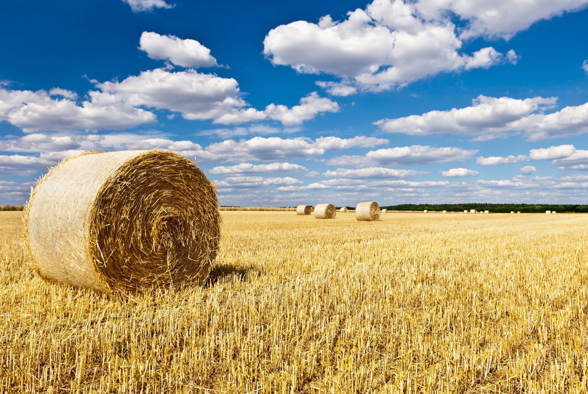 natur landschaft feld felder heuhaufen heu himmel hintergrund tapete widescreen vollbild widescreen widescreen